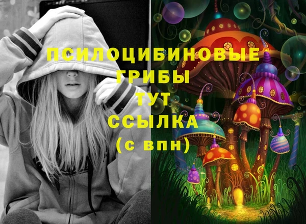 мескалин Осинники