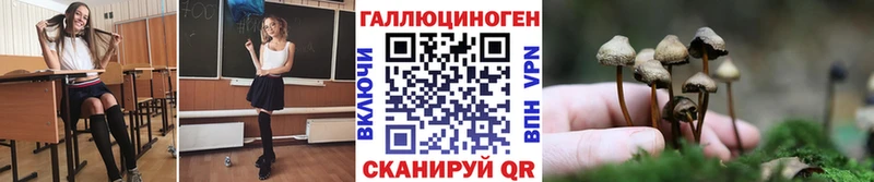 Купить закладки  Кириши  Псилоцибиновые грибы MAGIC MUSHROOMS 